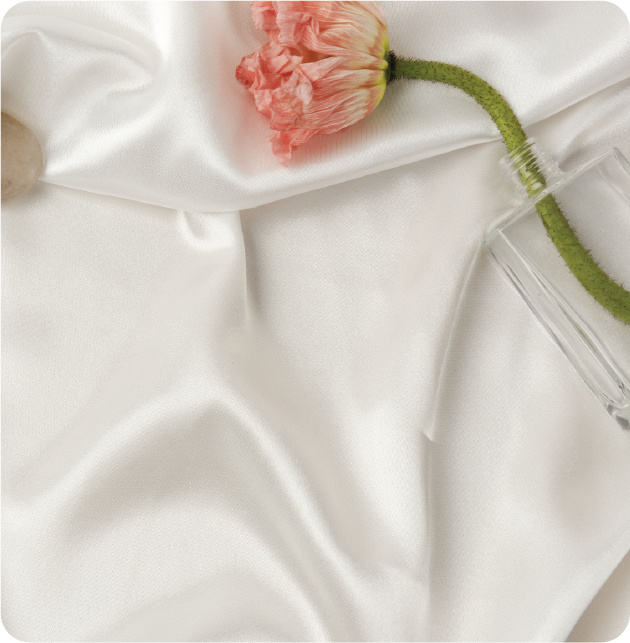 On Softness as a Form of Resistance